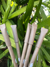 Load image into Gallery viewer, 5 Seed Paper Pen + 5 Seed Pencils + 1 Seed Diary + 1 Seed ball in an Eco-friendly Box