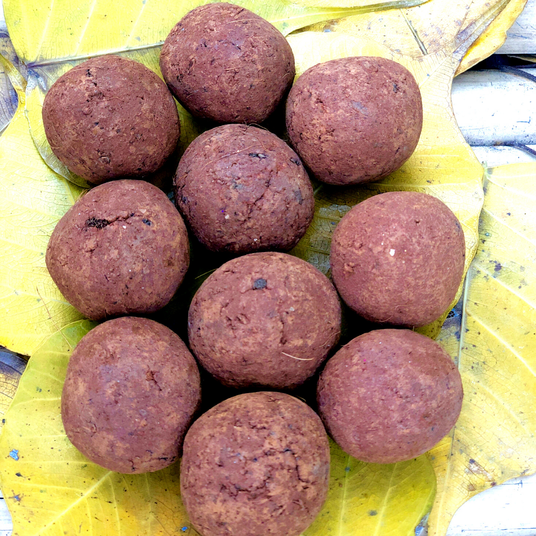 Zinnia Flower Seed Balls | Set of 10 Individually Packed Beej Balls | Eco-Friendly Gardening Gift | Easy to Grow