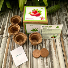 Load image into Gallery viewer, Winter Special: Strawberry DIY Gardening Kit | Grow Strawberries in Pots