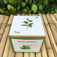Load image into Gallery viewer, Sow and Grow DIY Gardening Kit of Rama Tulsi / Holy Basil (Grow it Yourself Kit)