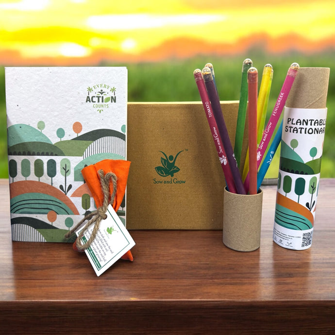 Brown Box Collection: 10 Seed Pencils + 1 Seed Diary + 1 Seed ball