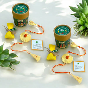 2-Pack Thread Rakhi with Italian Basil Seeds with Roli Chawal