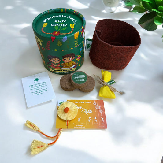 Thread Rakhi with Italian Basil Seeds | Combo with a DIY Gardening Kit