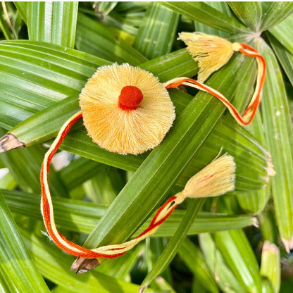 2-Pack Thread Rakhi with Italian Basil Seeds with Roli Chawal