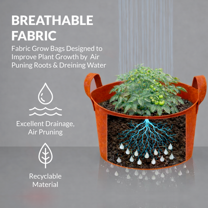 Geo Fabric Grow Bag 500 GSM Size 12x6 inches for Home, Terrace, Balcony Garden - Leafy Vegetables, Herbs, Microgreens