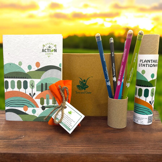 Brown Box Collection: 5 Seed Paper Pencils + 1 Seed Diary + 1 Seed ball