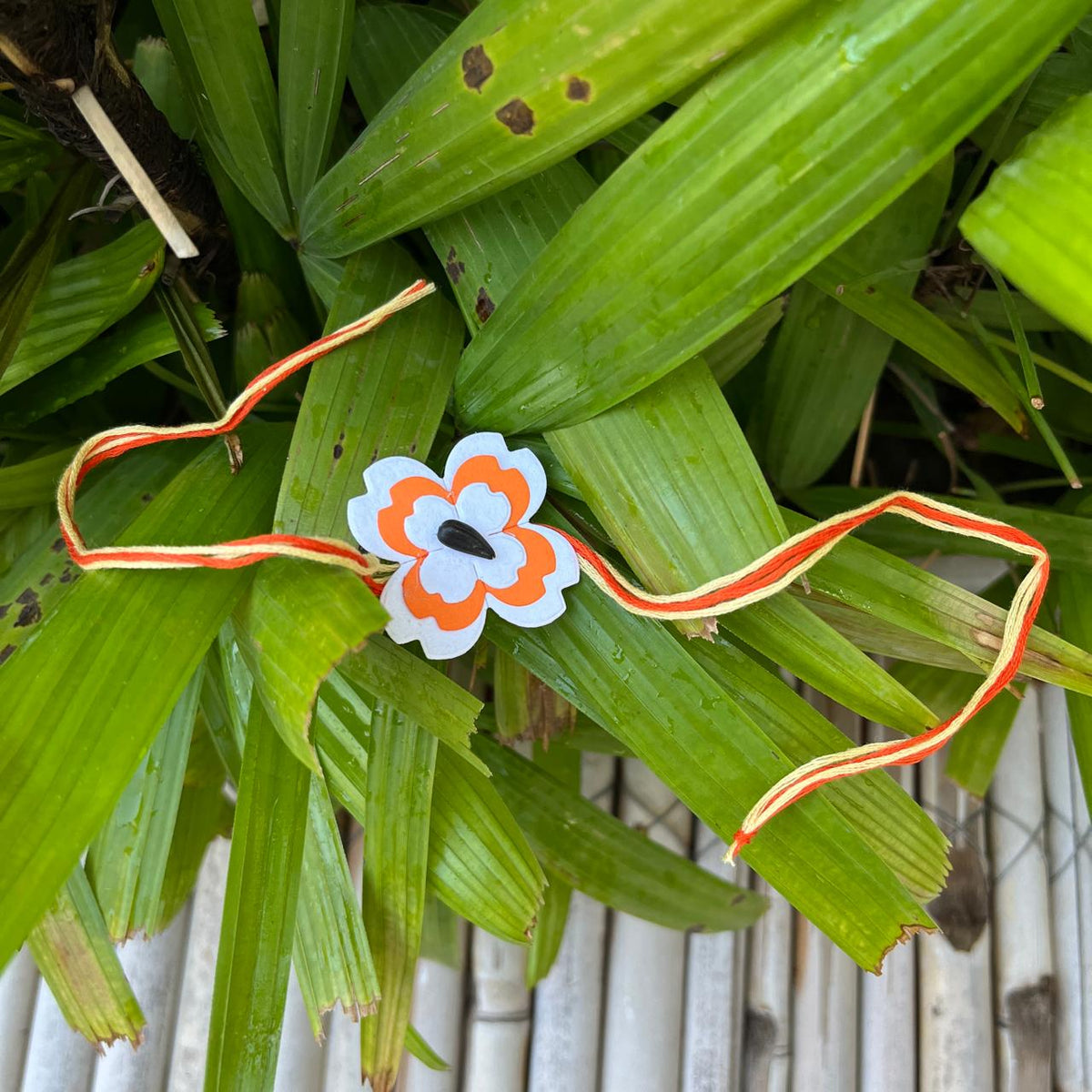 Seed Paper Rakhi with Roli Chawal Combo