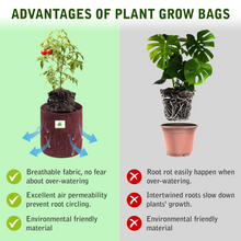 Load image into Gallery viewer, Geo Fabric Grow Bag Size 6x6 inches || Heavy Duty || For Desktop Plants, Flowers || For Small Plants
