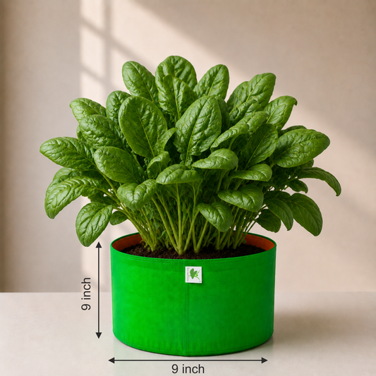 HDPE UV Protected 260 GSM Round Grow Bags 9x9 inches