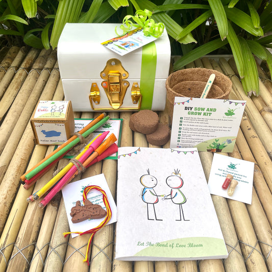 Rakhi Gift Hamper with Aeroplane Rakhi