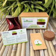 Load image into Gallery viewer, Microgreens Grow Kit: Alfa Alfa 30 grams || Easy to Use Kit for Beginner Gardeners
