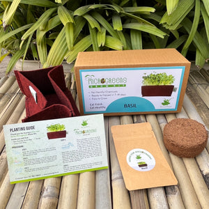 Microgreens Grow Kit: Green Basil 20 grams || Easy to Use Kit for Beginner Gardeners