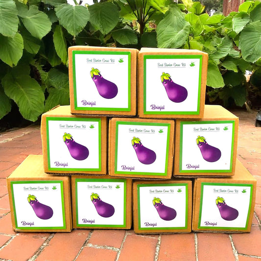 Mini Brinjal (Eggplant) Grow Kits – Set of 9 | Eco-Friendly DIY Gardening Gift Pack for Kids & Adults | Return Gift Ideas
