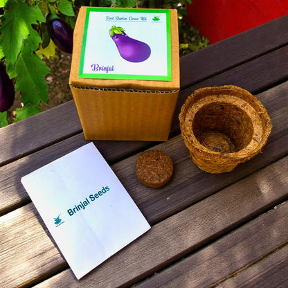 Mini Brinjal (Eggplant) Grow Kits – Set of 9 | Eco-Friendly DIY Gardening Gift Pack for Kids & Adults | Return Gift Ideas