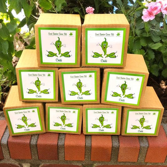 Mini Chilli Grow Kits – Set of 9 | Eco-Friendly DIY Gardening Kit for Kids & Adults | Easy-to-Grow Vegetable Seed Kit