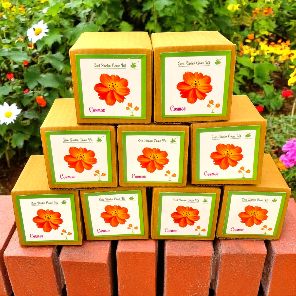 Mini Cosmos Flower Grow Kits – Set of 9 | Easy-to-Grow DIY Gardening Gift Pack | Eco-Friendly Return Gift Idea for Kids & Adults