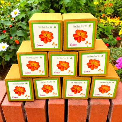 Mini Cosmos Flower Grow Kits – Set of 9 | Easy-to-Grow DIY Gardening Gift Pack | Eco-Friendly Return Gift Idea for Kids & Adults
