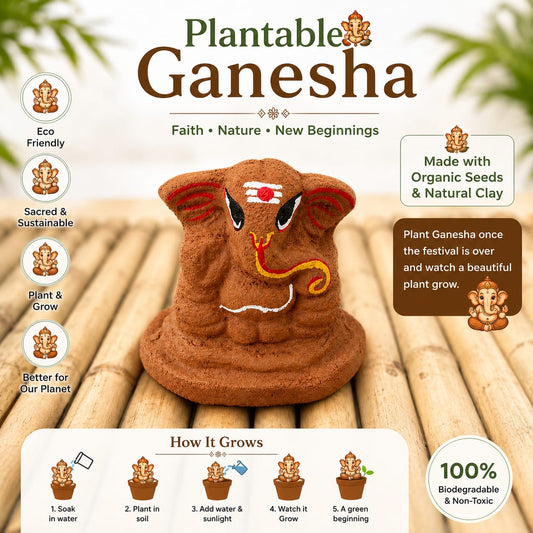 Plantable Seed Ganesha 6.5 cm with Marigold Seeds