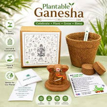 Load image into Gallery viewer, Plantable Seed Ganesha – 6.5 cm | Includes Marigold Seeds, Pot &amp; Soil | Eco-Friendly Grow Kit | Ideal for Ganesh Chaturthi, Diwali &amp; Wedding Gifting
