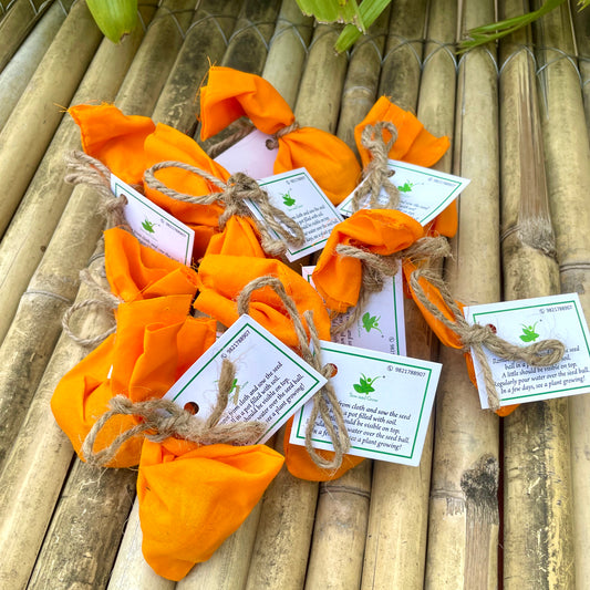 Seed Balls of Wildflower Seeds | Set of 10 Individually Packed Beej Balls | Eco-Friendly Gardening Kit | Sustainable Green Gifting