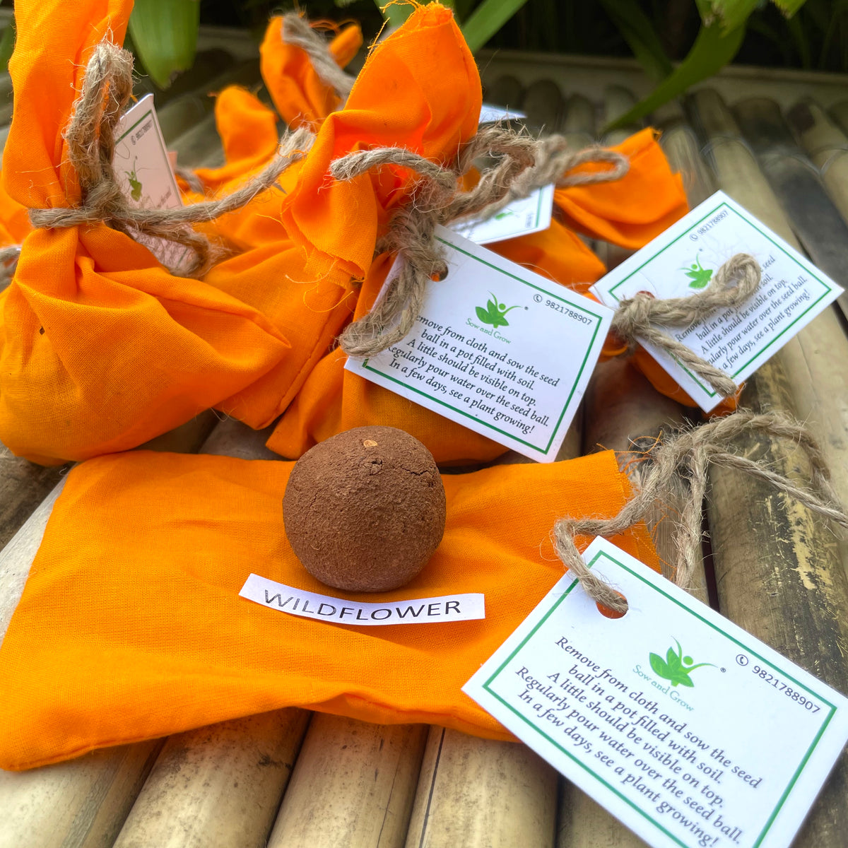 Seed Balls of Wildflower Seeds | Set of 10 Individually Packed Beej Balls | Eco-Friendly Gardening Kit | Sustainable Green Gifting