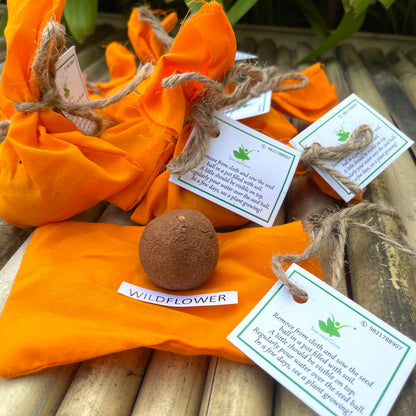 Seed Balls of Wildflower Seeds | Set of 10 Individually Packed Beej Balls | Eco-Friendly Gardening Kit | Sustainable Green Gifting