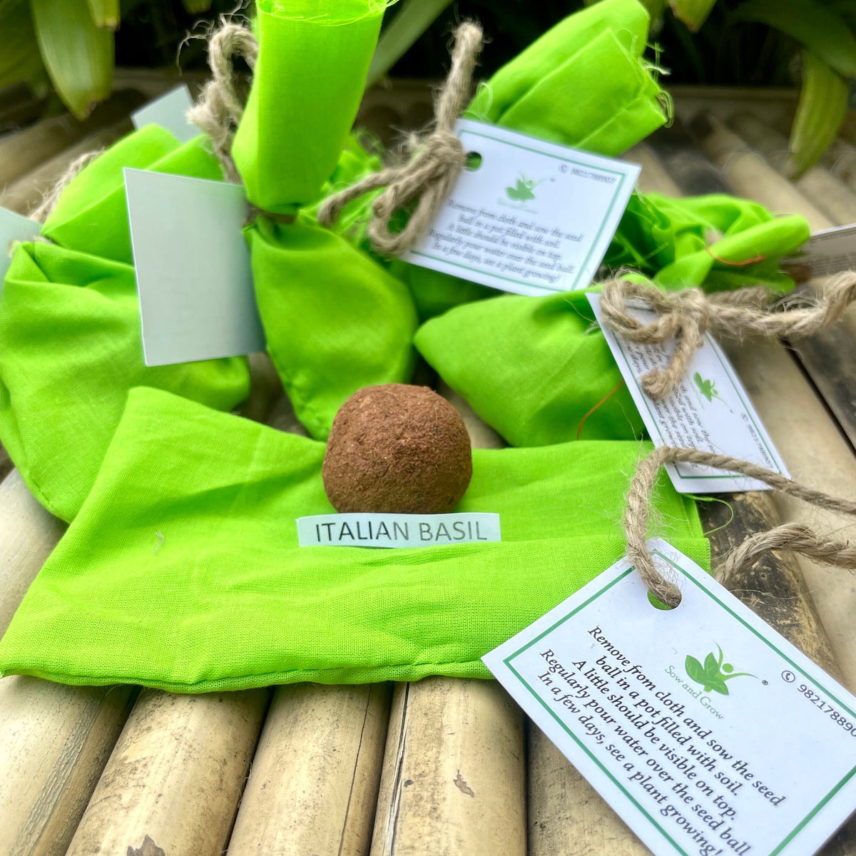 10 Plantable Seed Balls with Italian Basil Seeds | Beej Balls