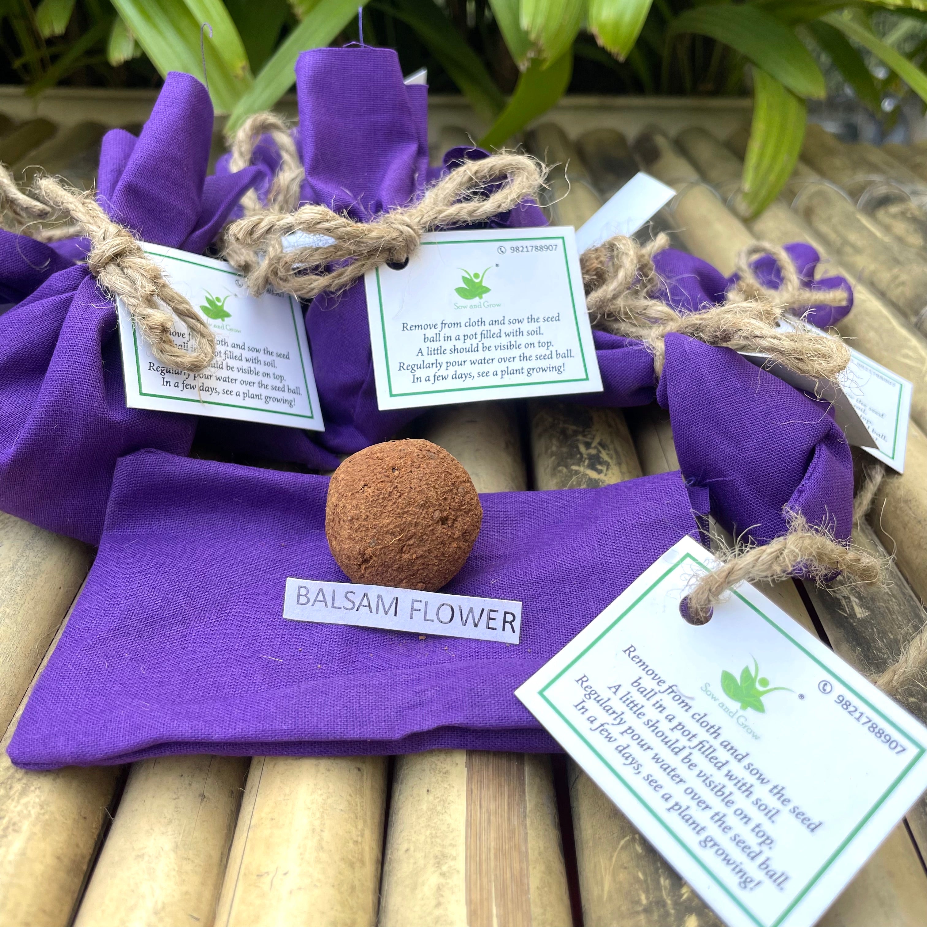 10 Plantable Seed Balls with Balsam Flower Seeds Beej Balls