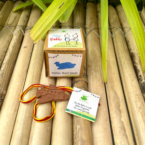 Plantable Rakhi Gift Box: Aeroplane