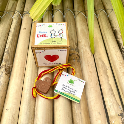 Clay Rakhis with Seeds: Set of 5