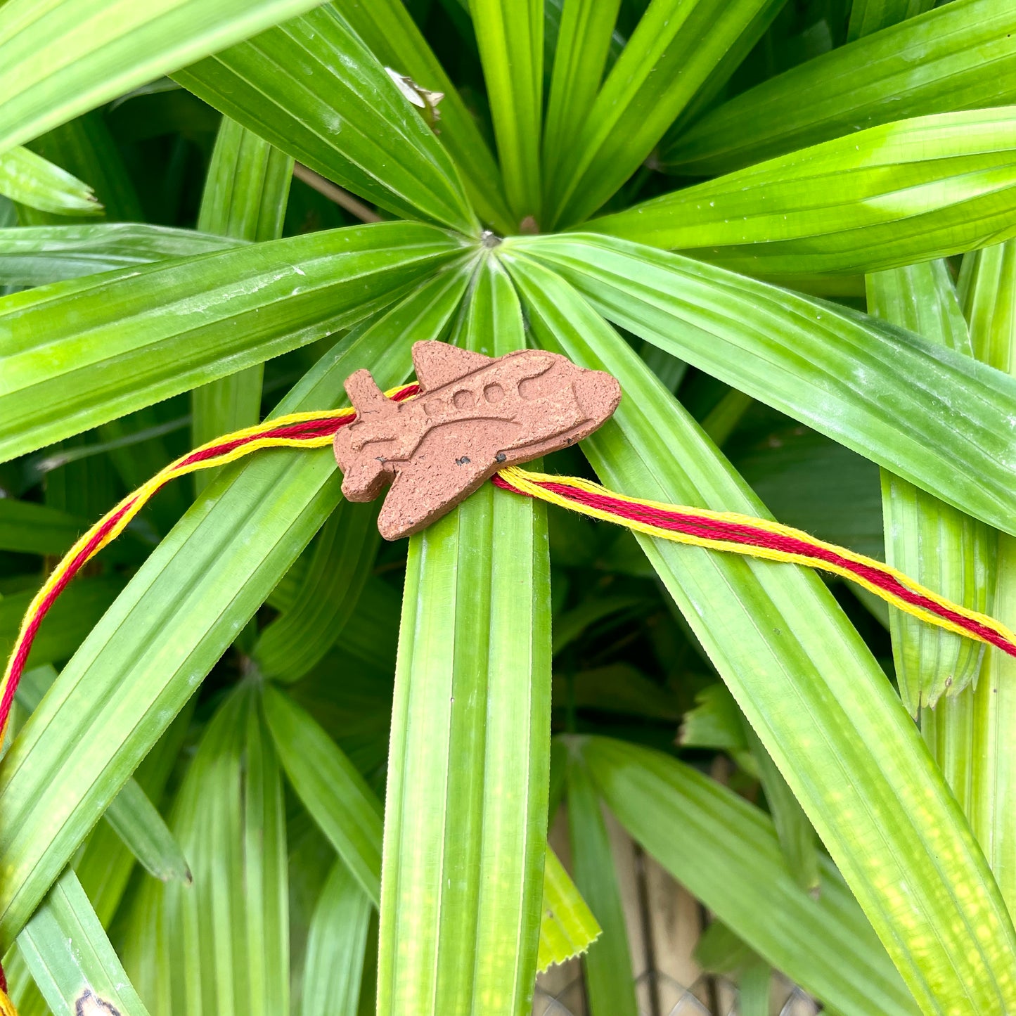 Aeroplane: Plantable Clay Rakhi with Italian Basil Seeds | Combo with a DIY Grow Kit