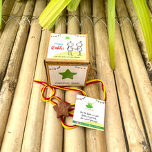 Load image into Gallery viewer, Clay Rakhis with Seeds: Set of 6
