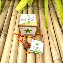 Load image into Gallery viewer, Plantable Rakhi Gift Box: Star
