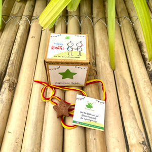 Plantable Rakhi Gift Box: Star