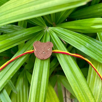Teddy Bear: Clay Rakhi with Gaillardia Seeds | Combo with a DIY Grow Kit