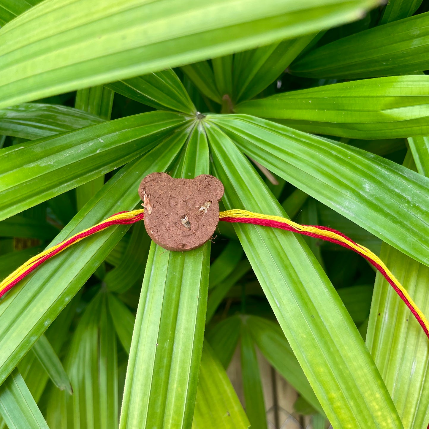 Teddy Bear: Clay Rakhi with Roli Chawal Combo