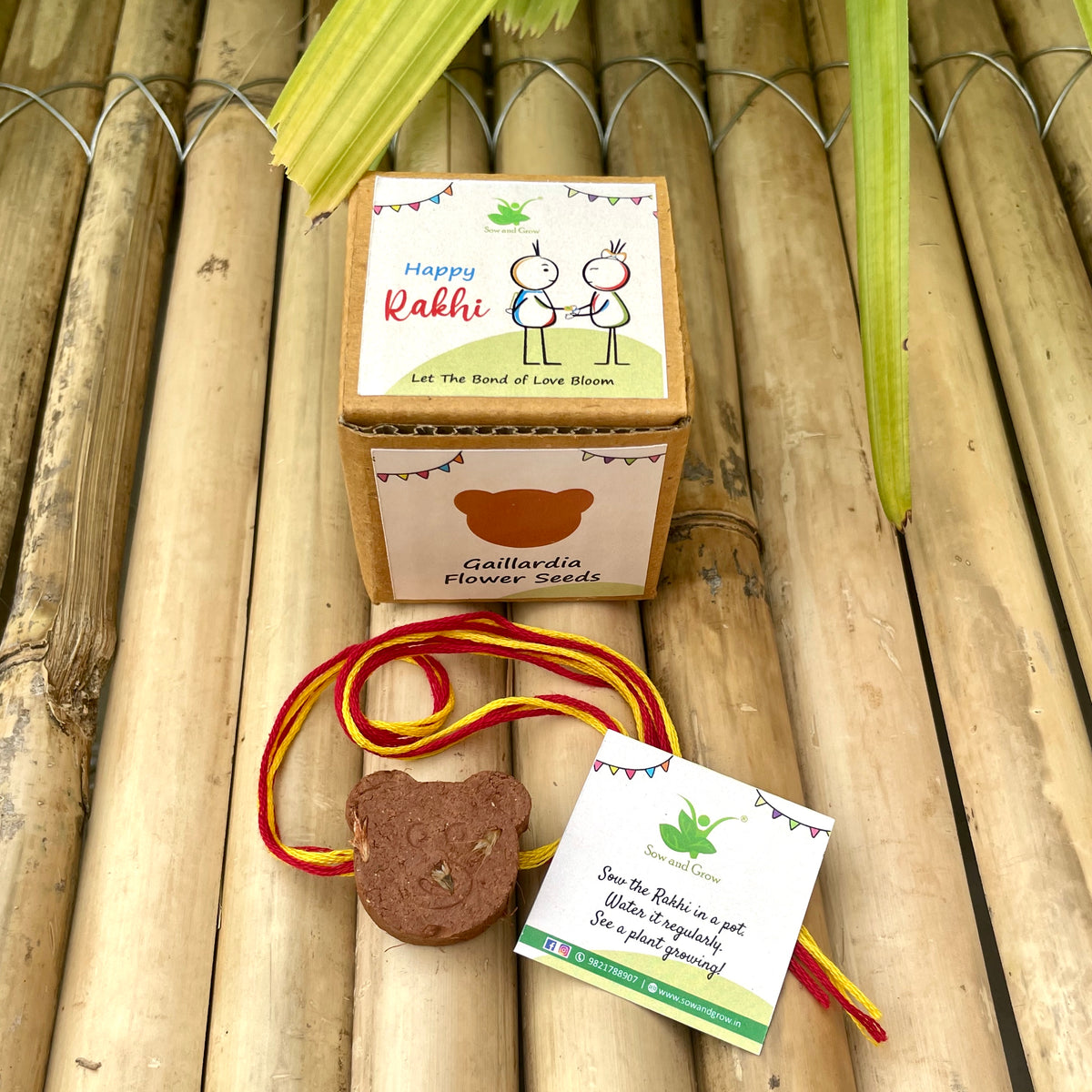 Teddy Bear: Clay Rakhi with Roli Chawal Combo