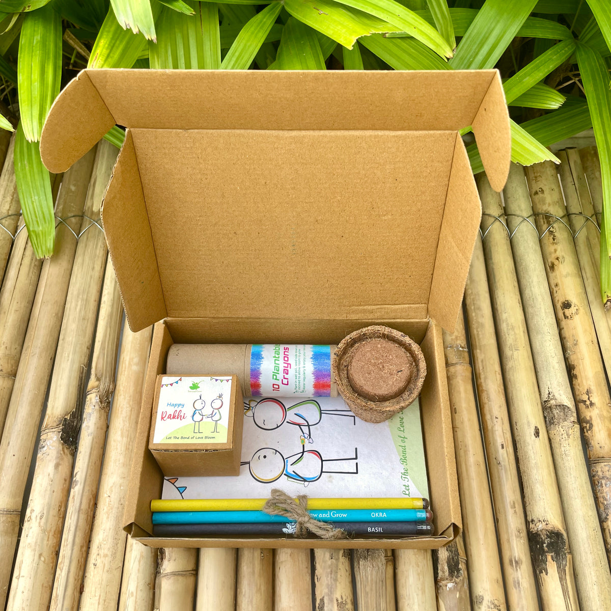 Plantable Rakhi Gift Box: Car