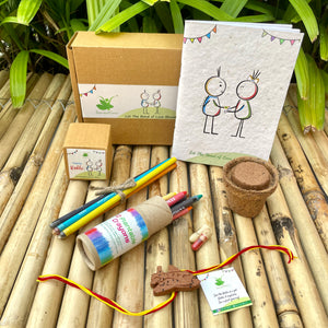 Plantable Rakhi Gift Box: Aeroplane