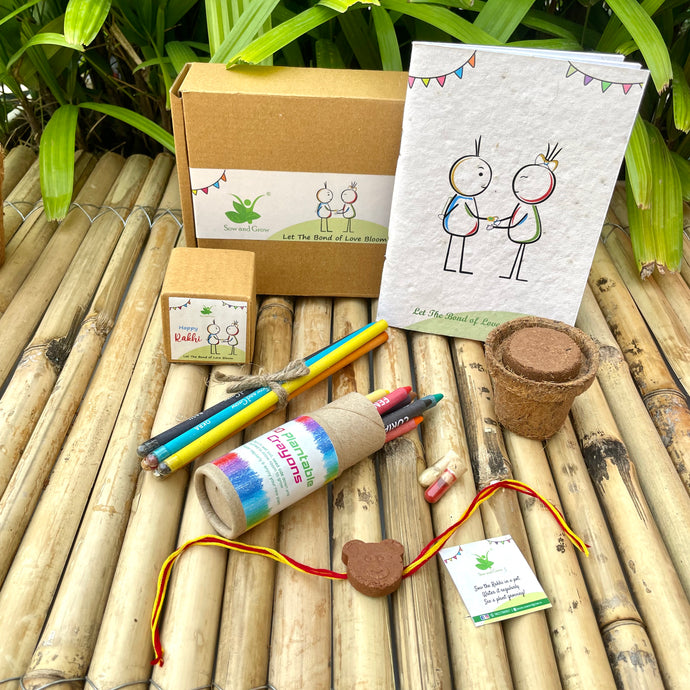 Plantable Rakhi Gift Box: Teddy Bear