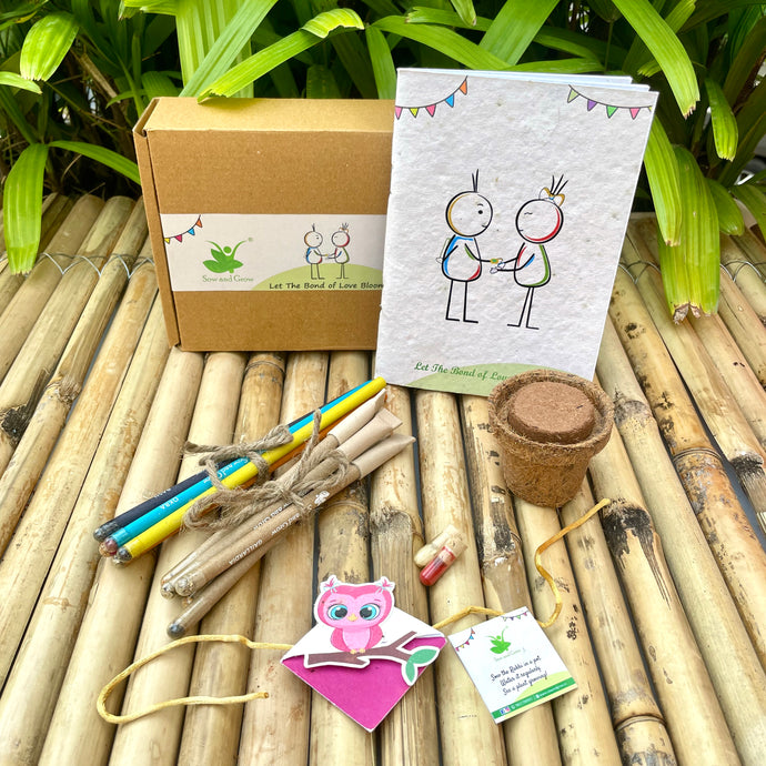 Plantable Bookmark Rakhi Gift Box: Pink Owl on Branch