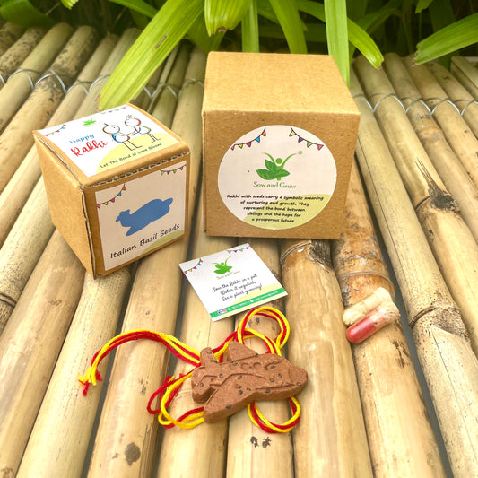Aeroplane: Clay Rakhi with Roli Chawal Combo