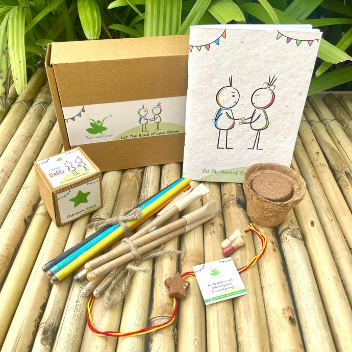 Plantable Rakhi Gift Box: Star
