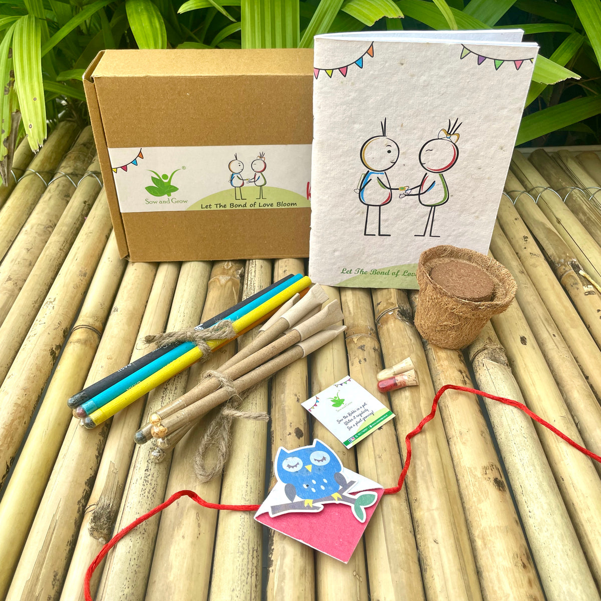 Plantable Bookmark Rakhi Gift Box: Blue Owl on Branch