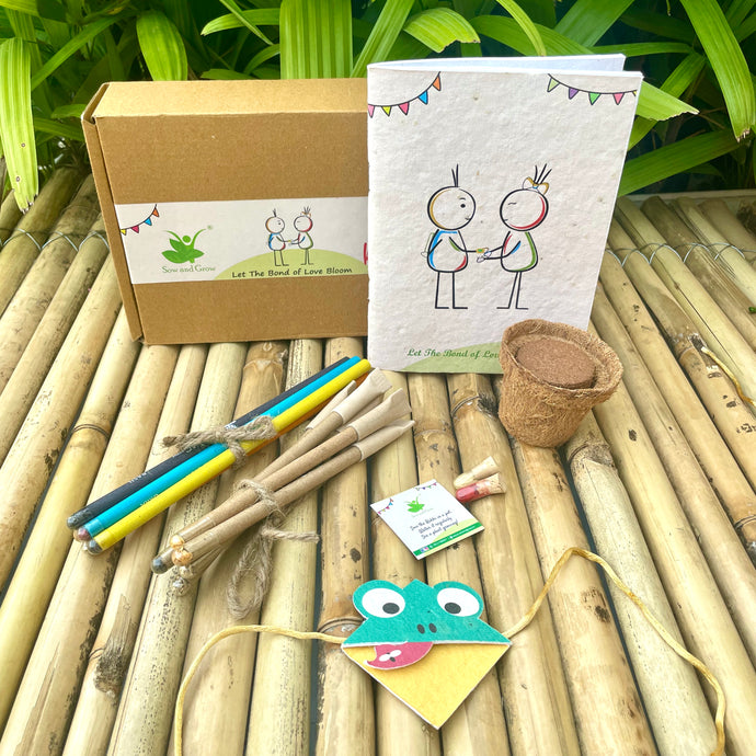 Plantable Bookmark Rakhi Gift Box: Frog