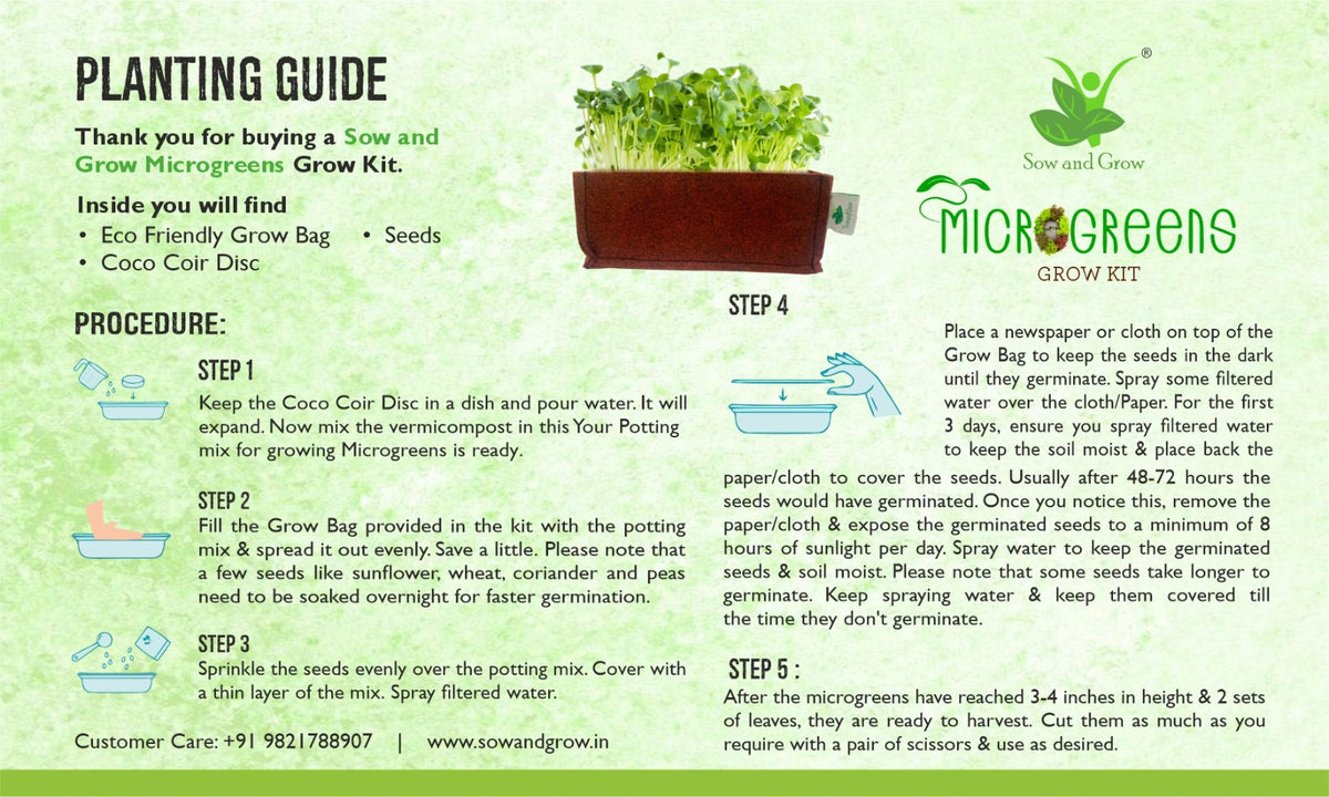 Microgreens Grow Kit: Mustard 20 grams || Easy to Use Kit for Beginner Gardeners