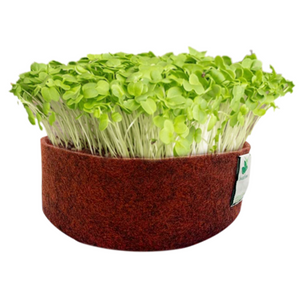 Sow and Grow Microgreens Grow Kit: Pink Radish and Mustard - Grow 2 Microgreens | Easy to Use Kit for Beginner Gardeners