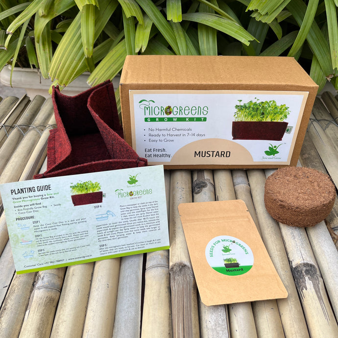 Microgreens Grow Kit: Mustard 20 grams || Easy to Use Kit for Beginner Gardeners