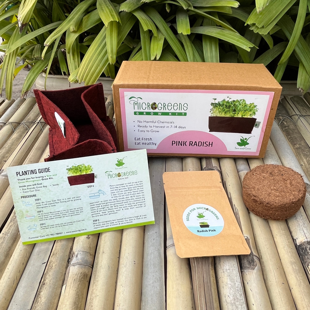 Microgreens Grow Kit: Radish Pink 25 grams || Easy to Use Kit for Beginner Gardeners