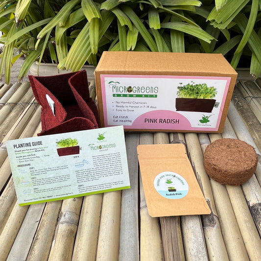 Microgreens Grow Kit: Radish Pink 25 grams || Easy to Use Kit for Beginner Gardeners